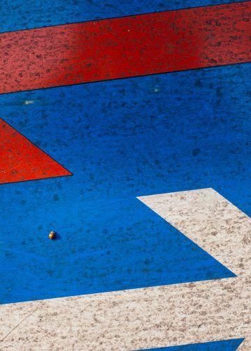 Derecha e izquierda en economía