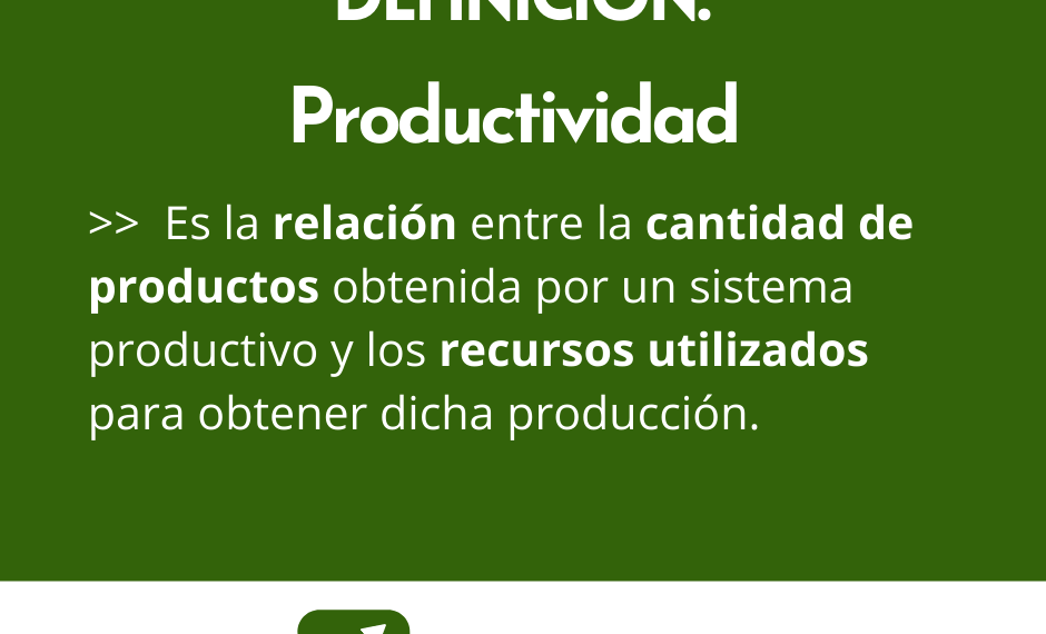 Definición de Productividad