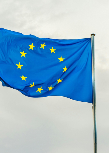 Bandera Europea