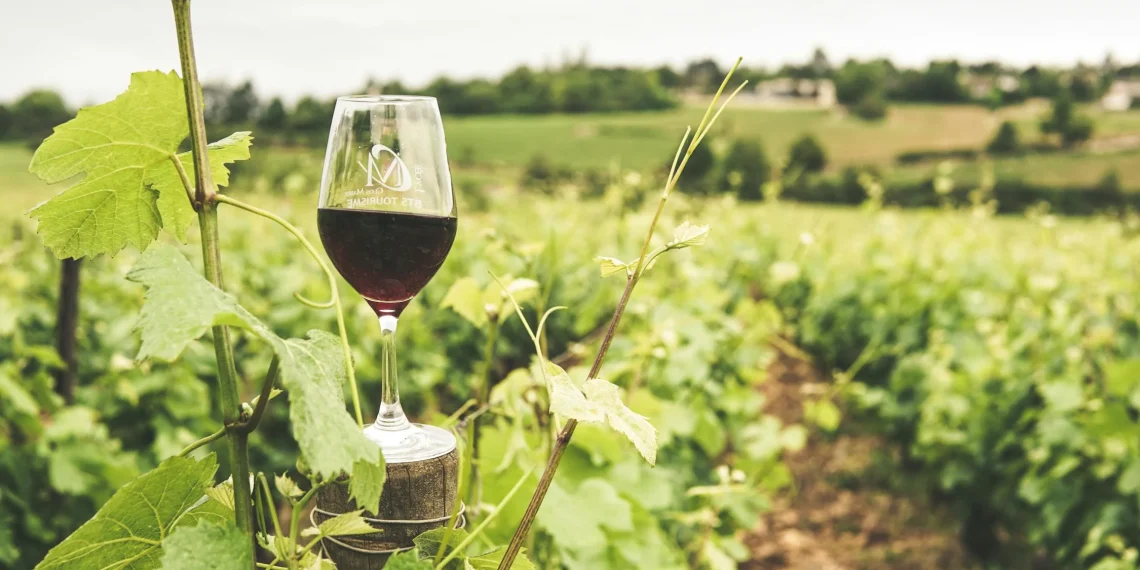 Vaso lleno de Vino