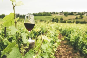 Vaso lleno de Vino