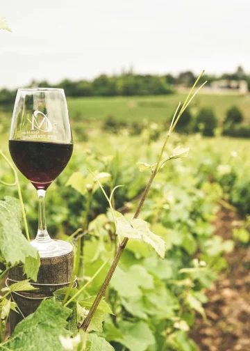 Vaso lleno de Vino