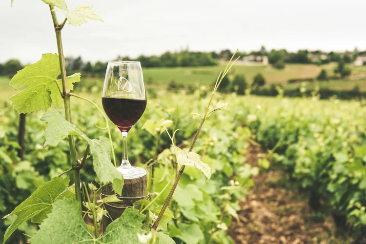 Vaso lleno de Vino